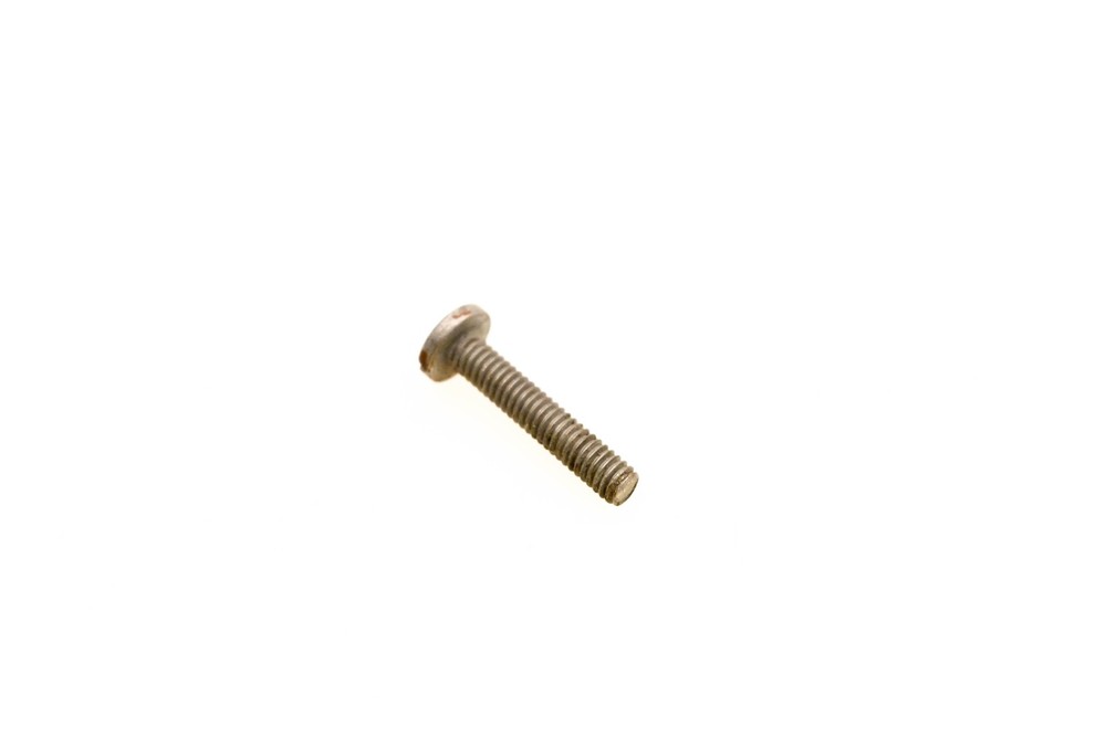 OMC 313125 Screw NOS