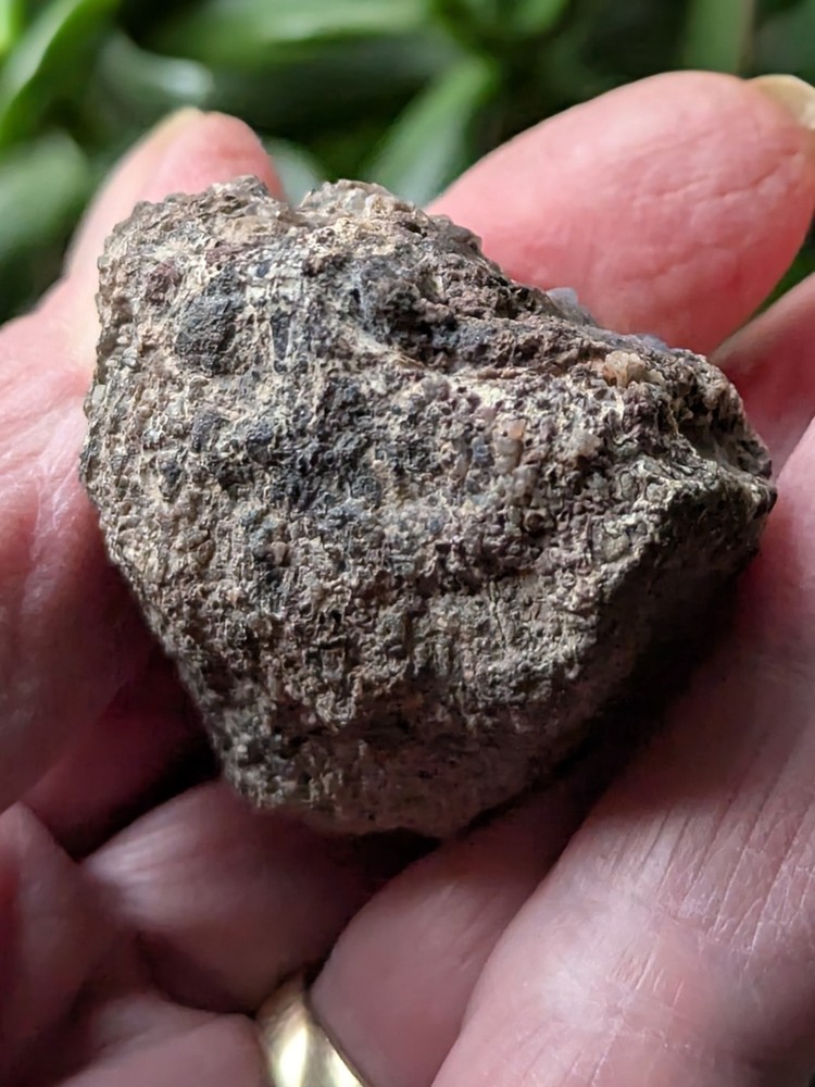 UV -Dinosaur Bone From * Polished * 2.3 oz.
