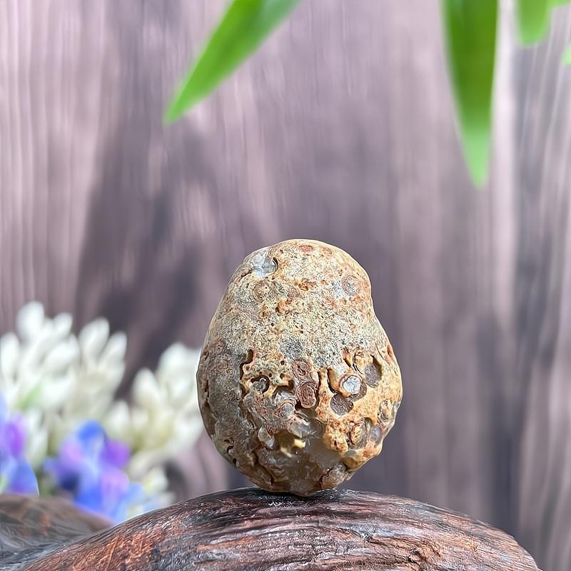 Christmas Gift China Inner Mongolia Gobi Rough Agate Specimen