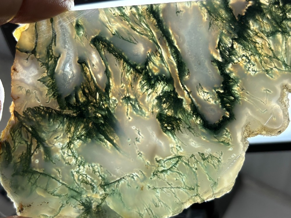 Thin Semi-translucent Moss Agate Slab Cabbing Lapidary Carving Combo Ship Avail