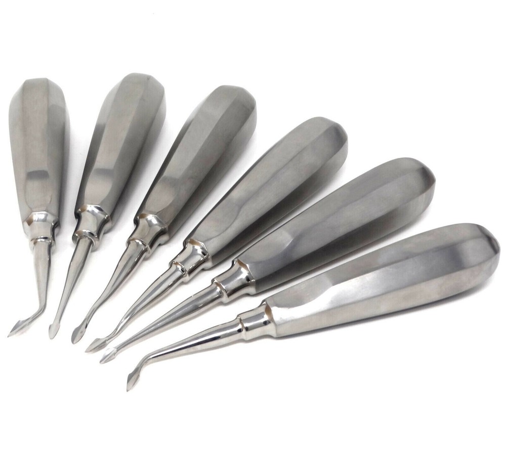 6Pcs Set Dental Spade Elevators Concave Tip Root Extraction Straight Left Right