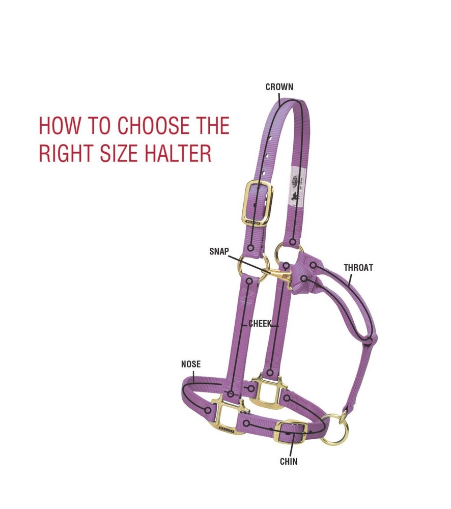 Original Non-Adjustable Halter , 1" Red