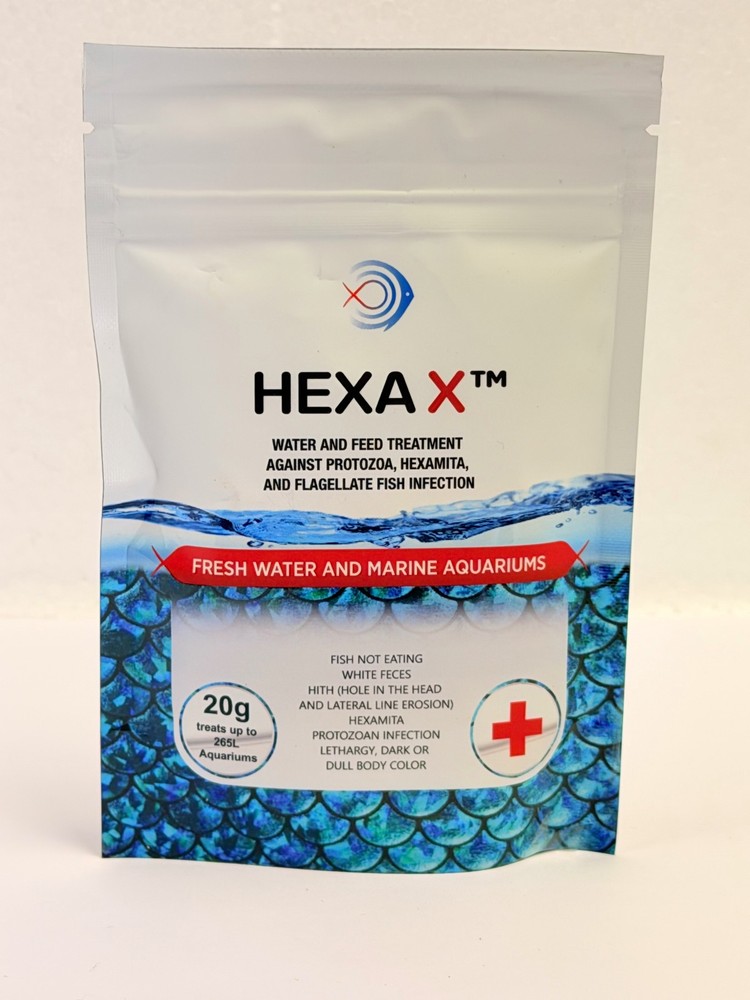 Hexa X