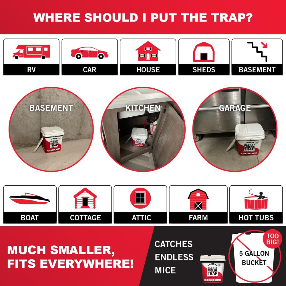 2-Pack Little Bucket Mouse Trap - Complete Kit