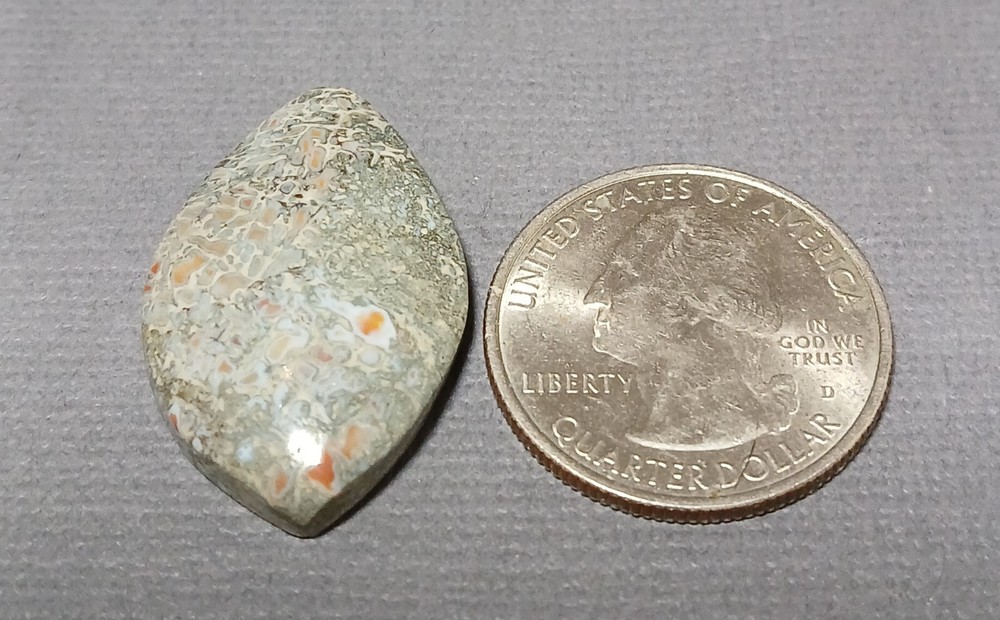 Dinosaur Bone Cabochon - Greenish Cells