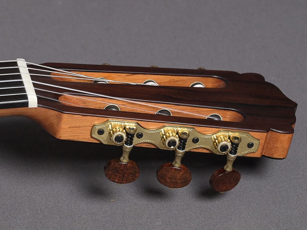 Hanika Jahresmodell 2025