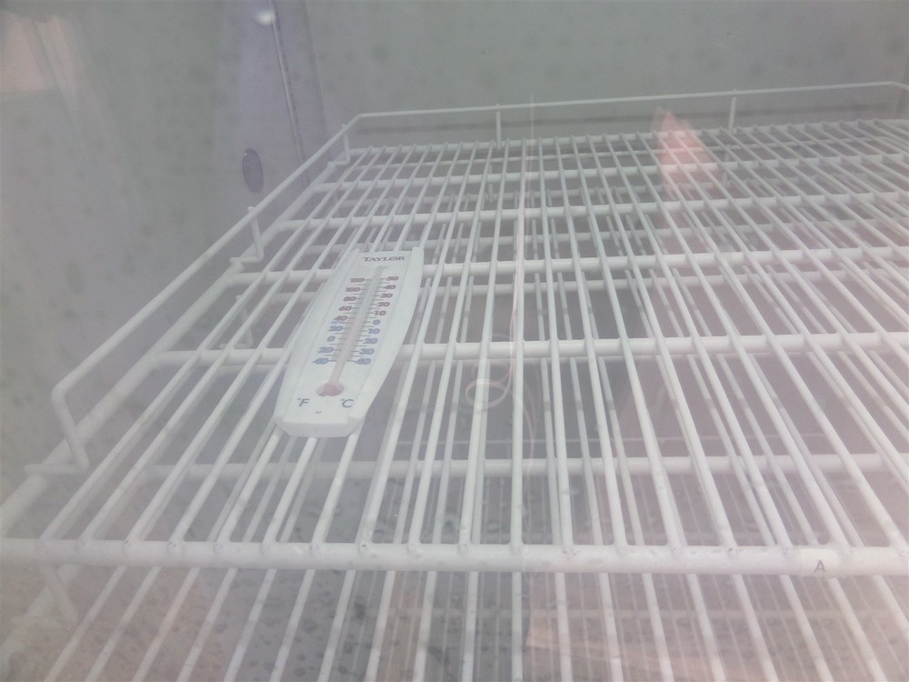 Thermo 3690 Forma Pharmacy Refrigerator