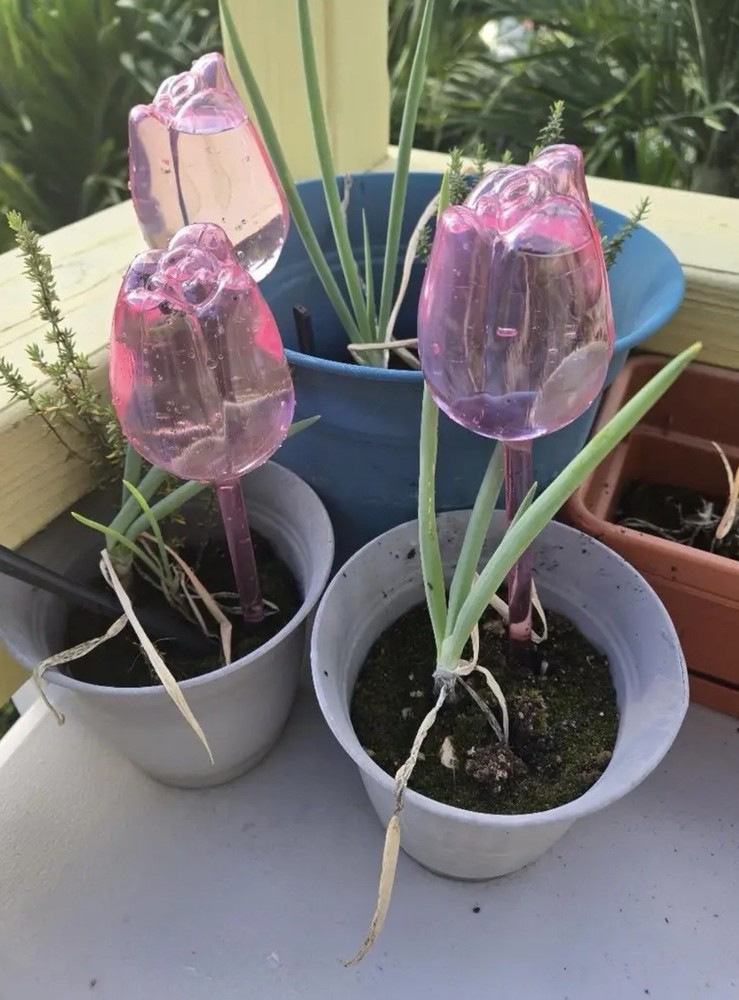 Tulip Watering Ball