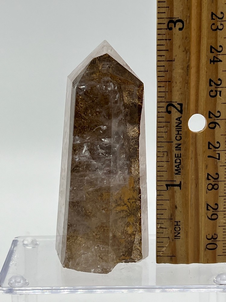 Dendritic Quartz A