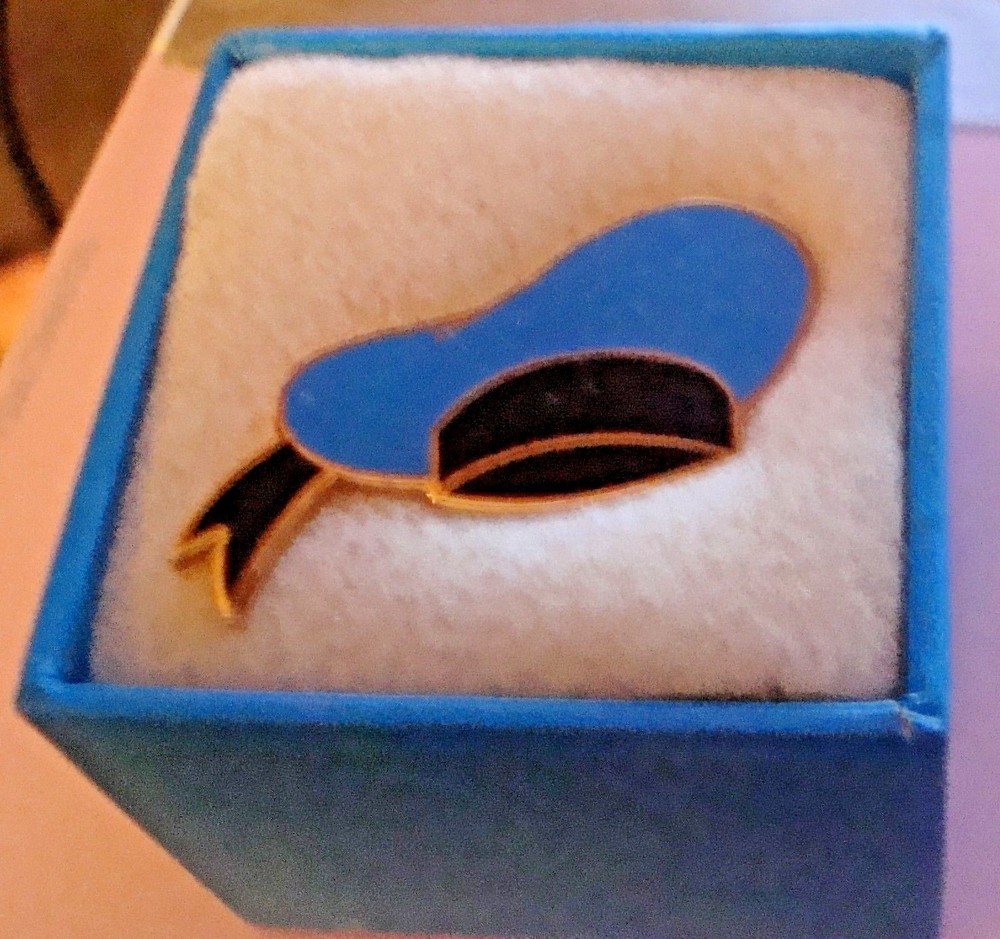 Donald Hat Box Disney Pin in Original Box