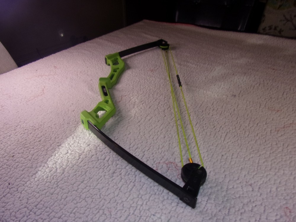 Bear Apprentice Youth Compound Bow