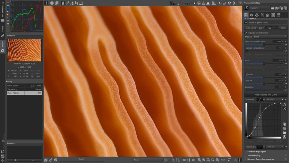 Raw Therapee Photo Editing Software 2026, RAW Image Editor for Windows USB