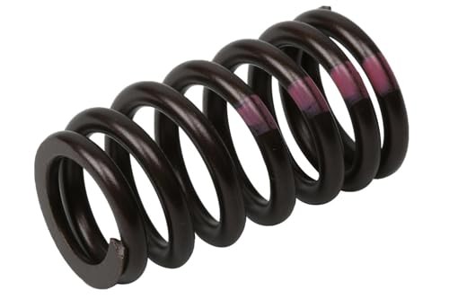 55571551 Engine Valve Spring