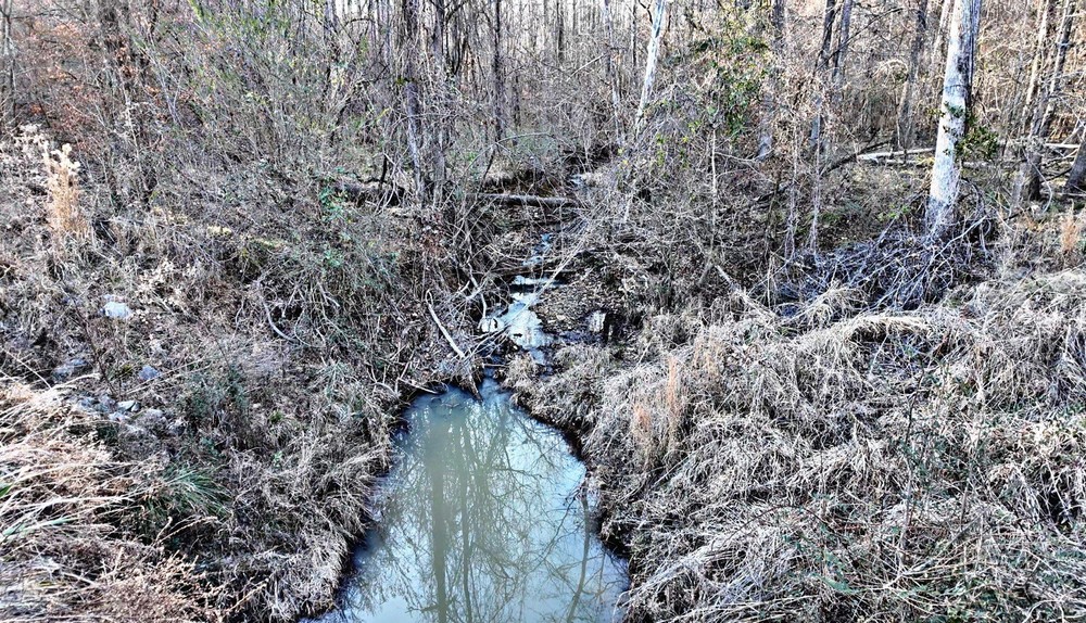 Crybaby Bridge Relics