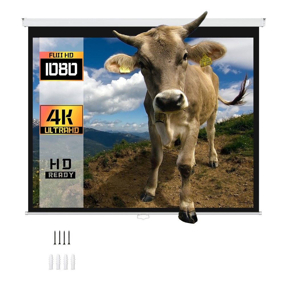 Proht 84" Manual Projection Screen 05350 169 Aspect Ratio Pull Down Projector