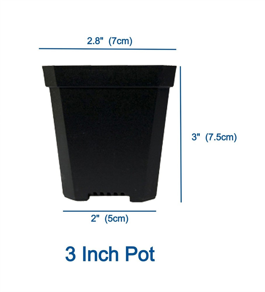 Propagator with Dome