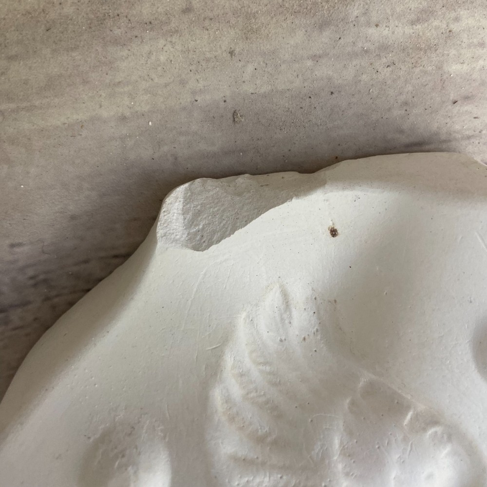 Unbranded Ceramic Casting Mold Eagle Fly Wing #X-547