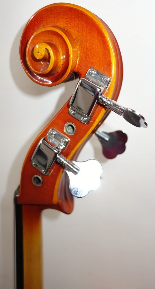 Francesco Cervini HC100 Cello w/case