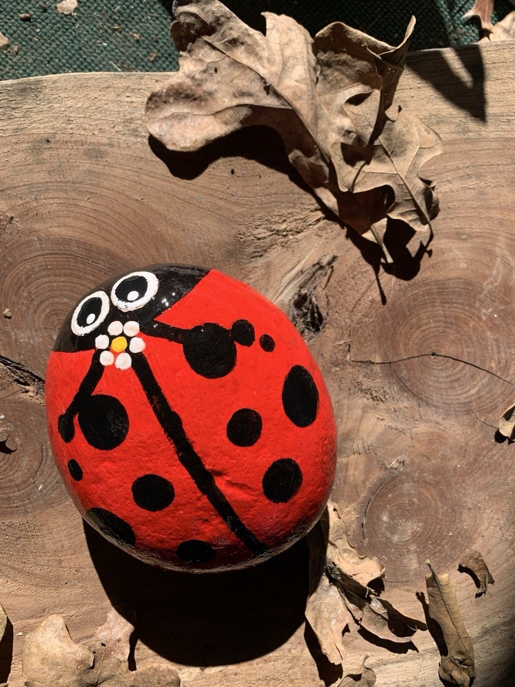 Hand Painted Garden Rock Ladybug