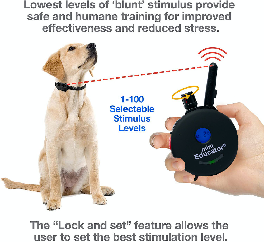 E-Collar Technologies ET-300 or ET- 302 TRANSMITTER ONLY in RED