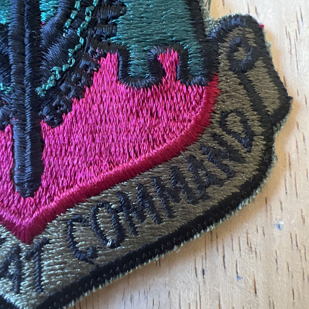 US Air Combat Command Patch