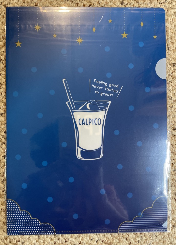 Japanese Calpico 2 File Folders A4 Sealed