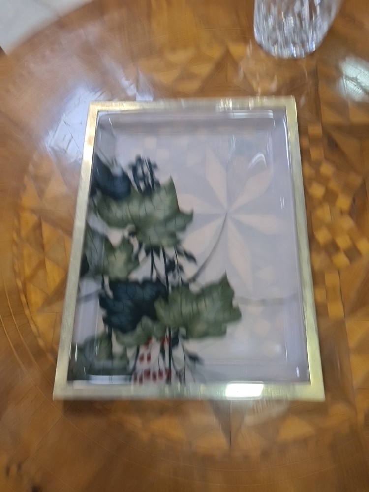 perspex tray