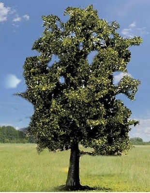 NOCH,Beech - 13 cm, , NOC21690