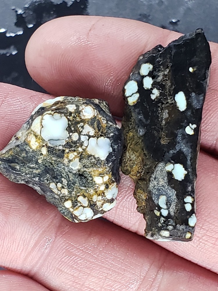 Nevada Aloe Variscite Slabs