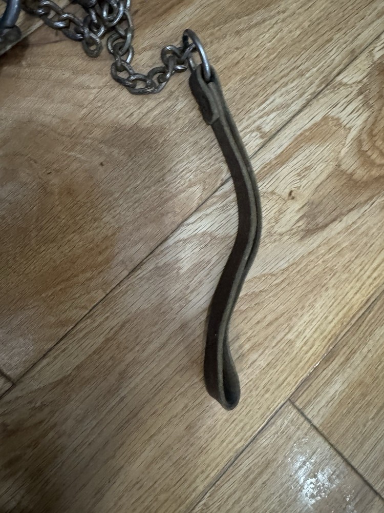Vintage Dog Collar Chain And Tag