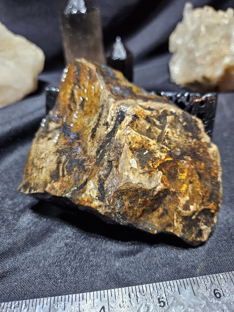 Biggs Jasper Multi Colored w/ Dendric Specimen Natural Form (14oz)