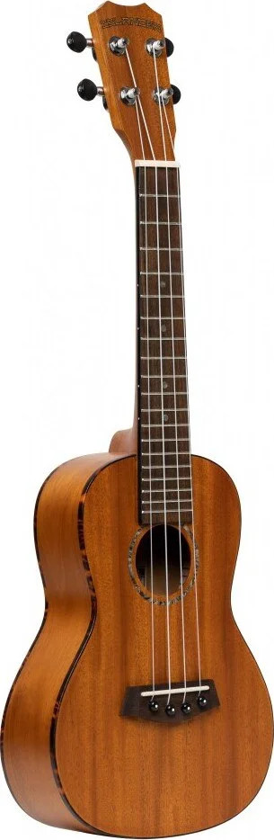 Traditional concert ukulele with solid top