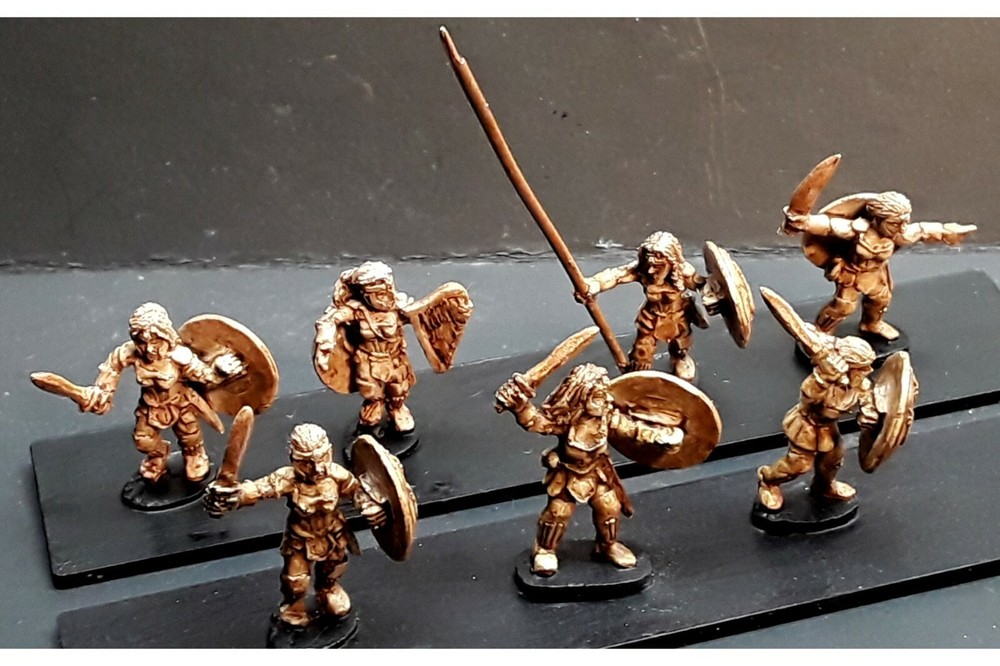 15mm Fantasy Amazon Swordswomen with Shields (8 figures)