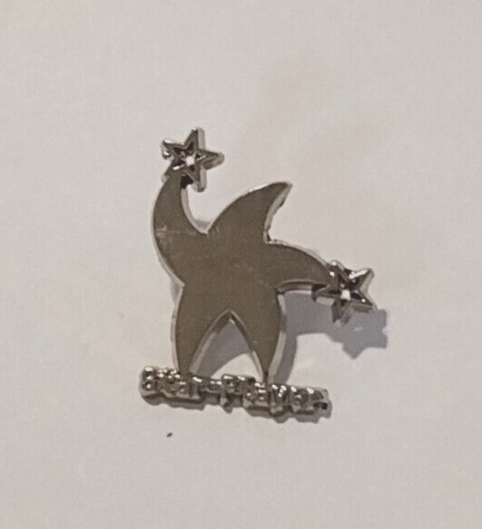 Star Player Silvertone Award Lapel Pin