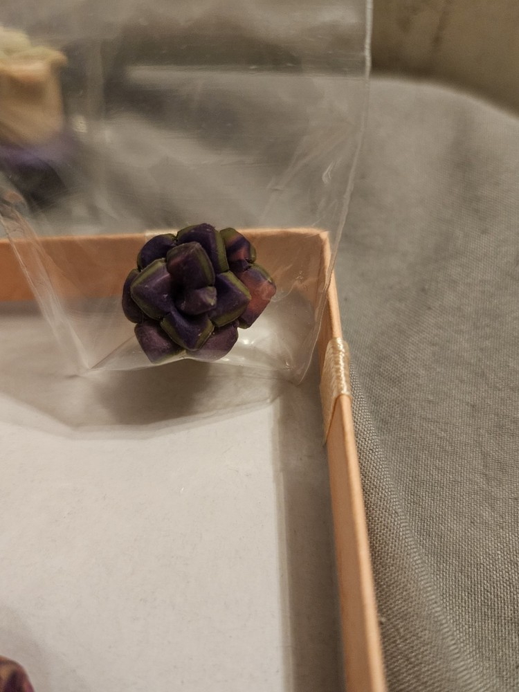 Succulent miniatures lot