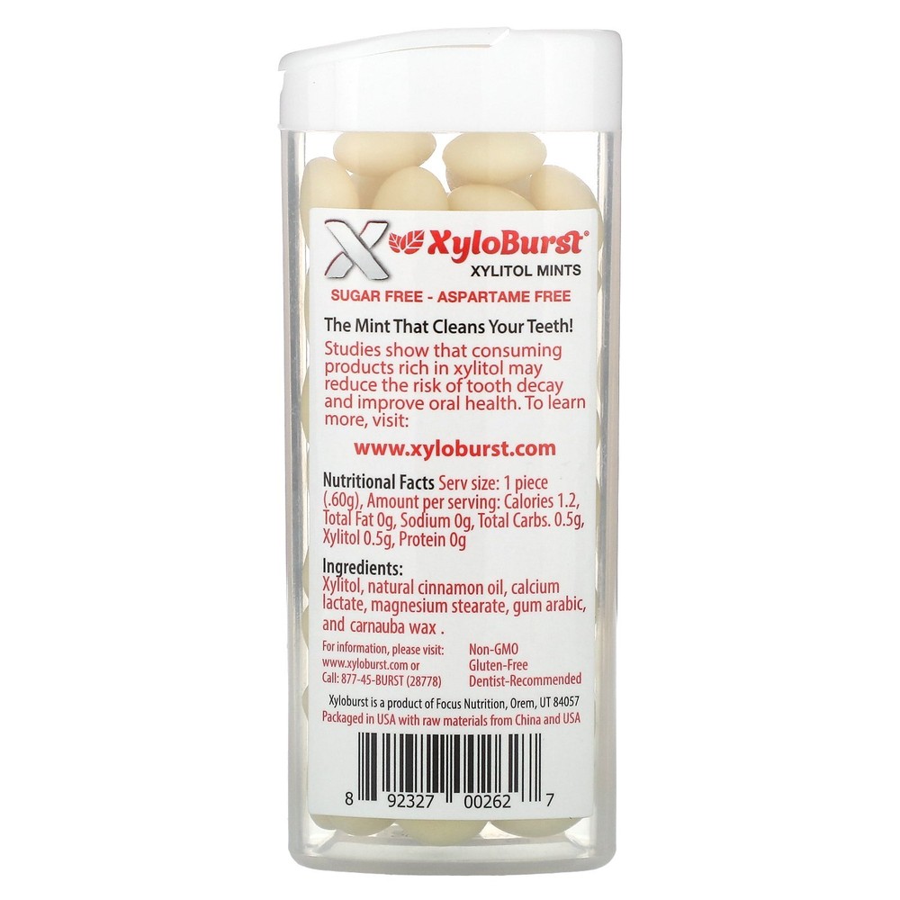 Xylitol Sweetened Mints, Cinnamon, 60 Pieces