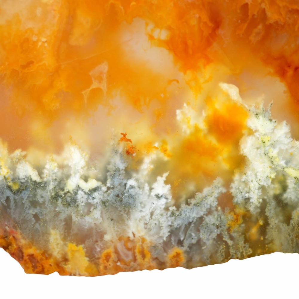 Graveyard Point Plume Agate Slab - Marcasite Plumes