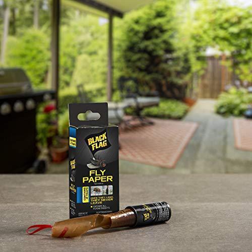 Black Flag HG-11016 Fly Paper, 4-Count