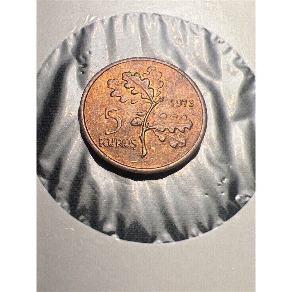 1973 Turkey 5 Kurus Z5363