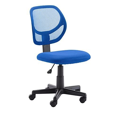Amazon Basics Low-Back Computer Task Office Desk Chair with Swivel Casters - Blu