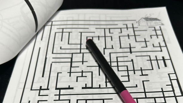 DIGITAL CONTENT- 2025 Merrick Dinosaur 30 Page Activity Book - PRINTING REQUIRED