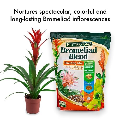 Bromeliad Blend 8 Quart