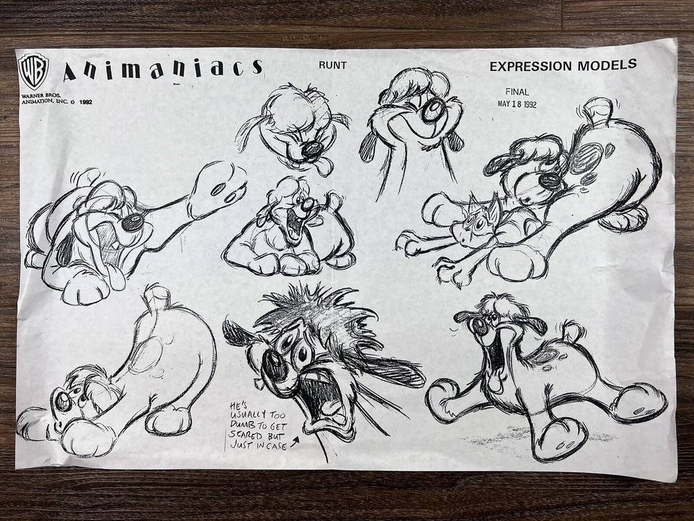 Animaniacs 1992 Production Art Expression Studio Copy Warner Brothers Animation