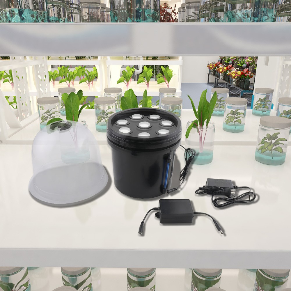 Hydroponics Grower Kit Hydroponic SystemSelf Watering Indoor Hydroponics Tools