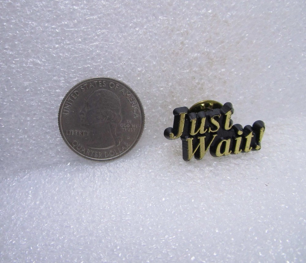 Just Wait! Plastic Pin