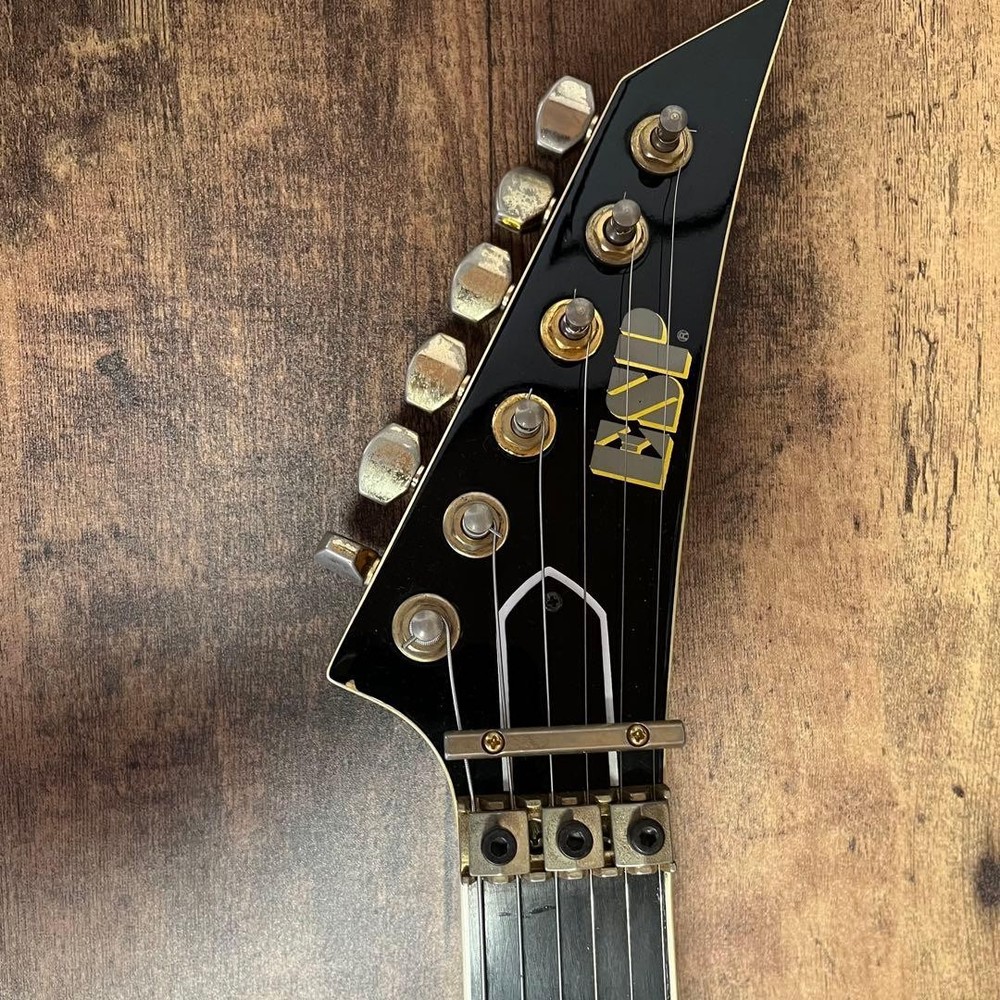 ESP Guitar Gig Bag Strap Safe Packing!