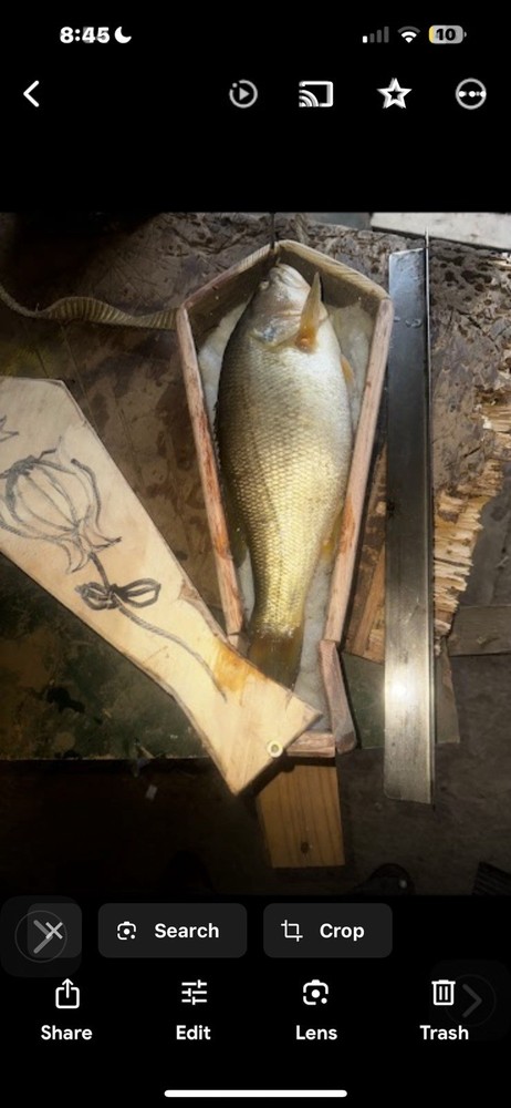 Personal Hand-Made Creation Service