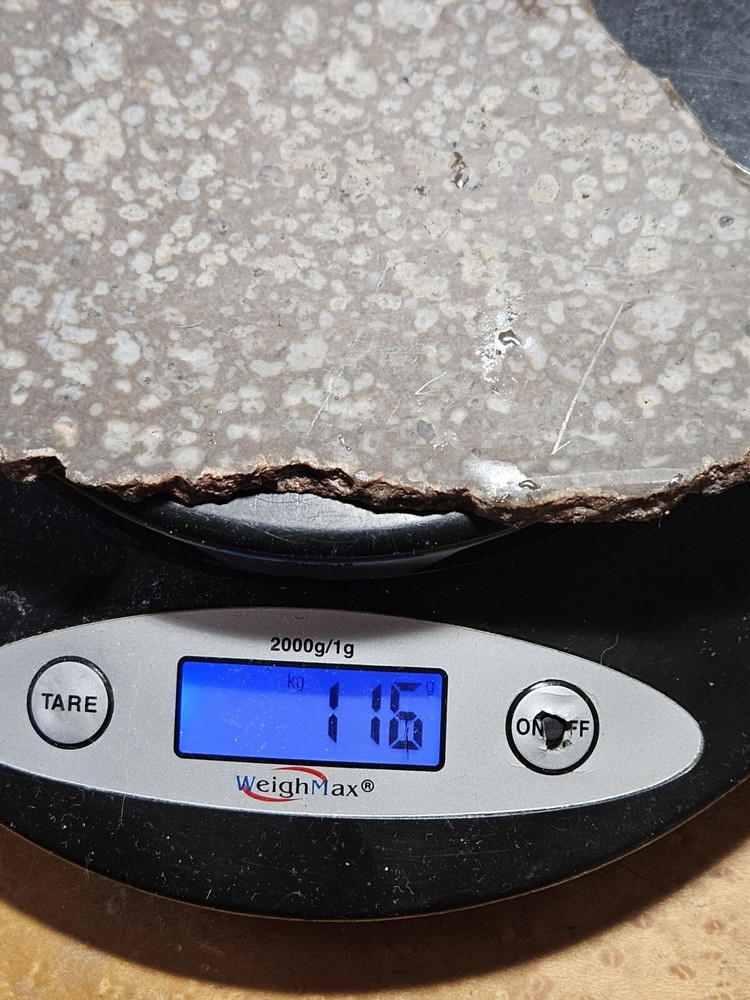 Odd Lapidary Slab 116 Grams