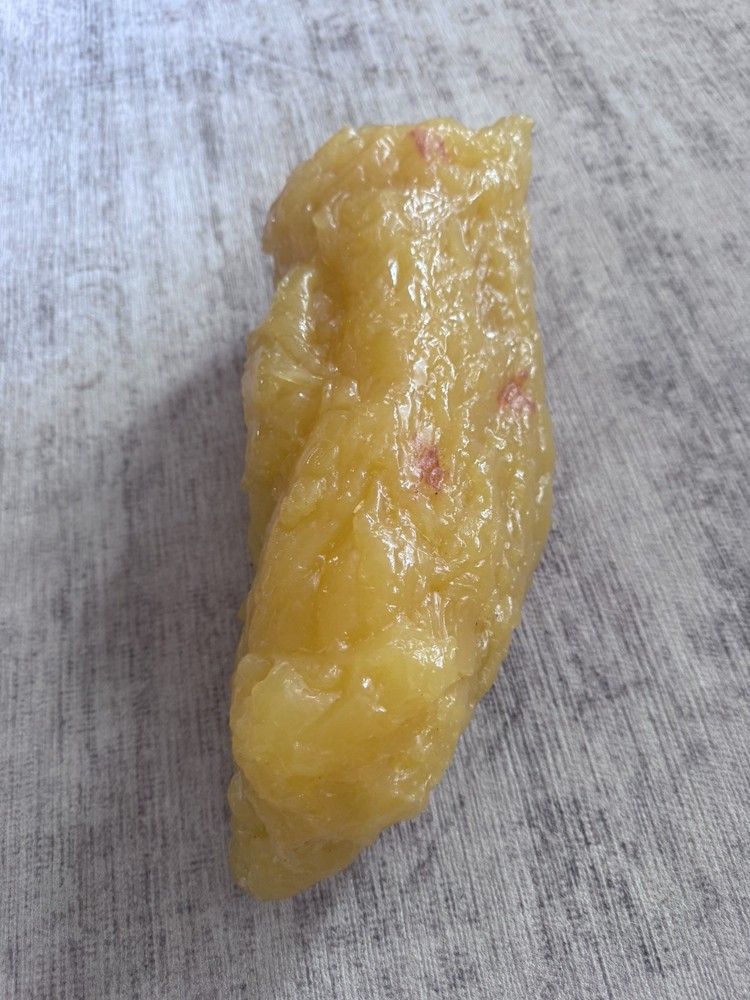 5 lbs of fat model
