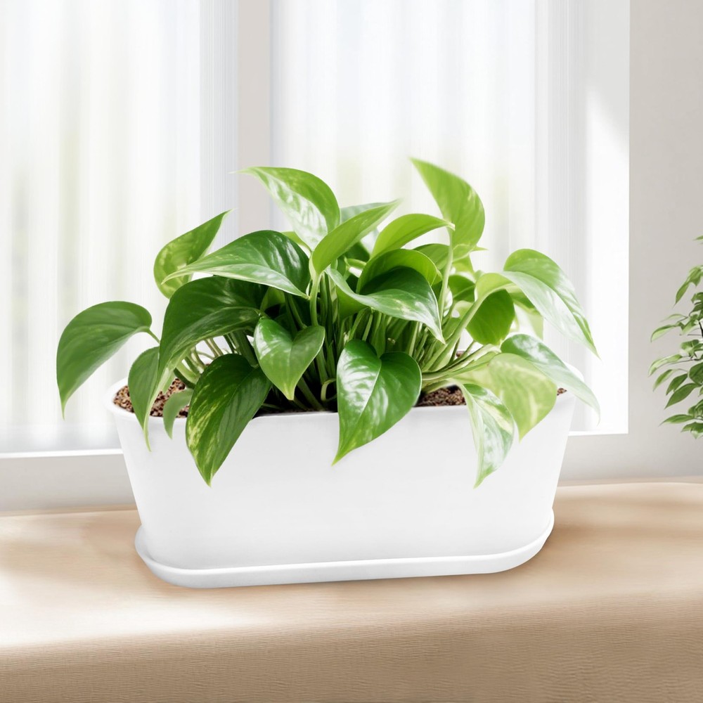 Torfican 5 Set Window Herb Planter Box Rectangular,8.5x3.5 Inch 5, White